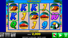Tropical Heat - Screenshot 5