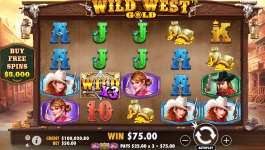 Wild West Gold - Screenshot 1