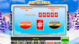 Arctic Race - Screenshot 4