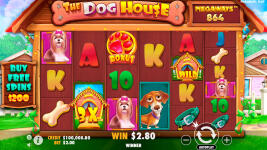 The Dog House Megaways - Screenshot 4