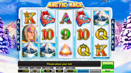 Arctic Race - Screenshot 6