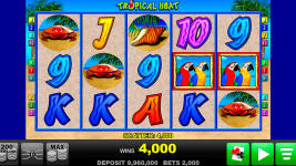 Tropical Heat - Screenshot 4