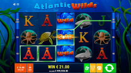 Atlantic Wilds - Screenshot 6
