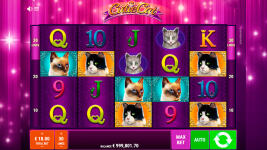 Cutie Cat - Screenshot 7