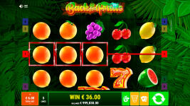 Back to the Fruits - Screenshot 8