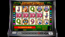 Secret Forest - Screenshot 4