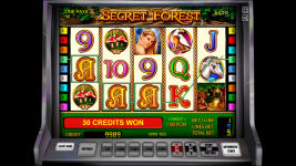 Secret Forest - Screenshot 5