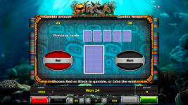 Orca - Screenshot 6