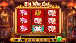 Big Win Cat - Screenshot 1