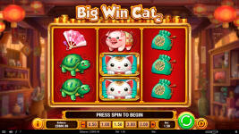 Big Win Cat - Screenshot 2