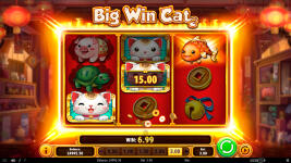 Big Win Cat - Screenshot 3