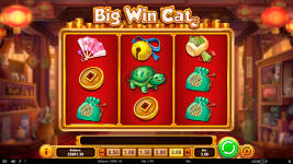 Big Win Cat - Screenshot 4