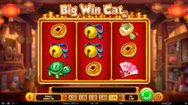 Big Win Cat - Screenshot 5