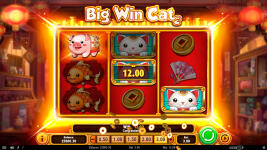 Big Win Cat - Screenshot 6