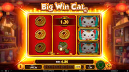 Big Win Cat - Screenshot 7