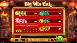 Big Win Cat - Screenshot 8