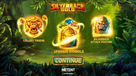 Silverback Gold - Screenshot 1