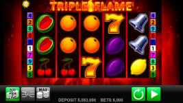 Triple Flame - Screenshot 5
