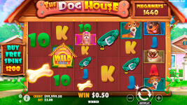 The Dog House Megaways - Screenshot 3