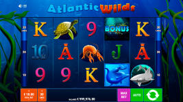 Atlantic Wilds - Screenshot 1