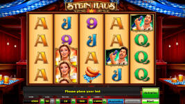 Stein Haus - Screenshot 8