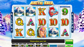 Arctic Race - Screenshot 8