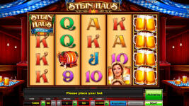 Stein Haus - Screenshot 6