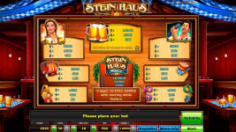 Stein Haus - Screenshot 3