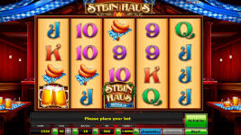 Stein Haus - Screenshot 2