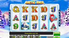 Arctic Race - Screenshot 2