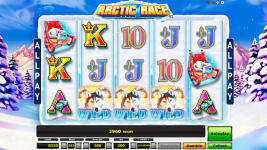 Arctic Race - Screenshot 7