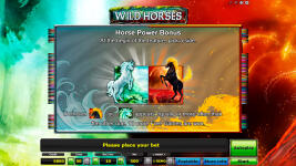 Wild Horses - Screenshot 2