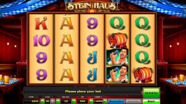 Stein Haus - Screenshot 1