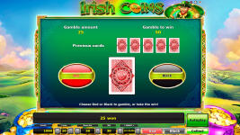 Irish Coins - Screenshot 8