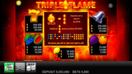 Triple Flame - Screenshot 4