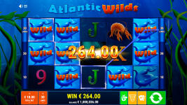 Atlantic Wilds - Screenshot 4
