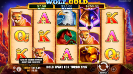Wolf Gold - Screenshot 8