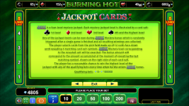 Burning Hot - Screenshot 5