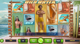 Wild Water - Screenshot 2