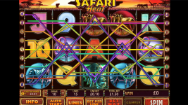Safari Heat - Screenshot 1