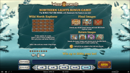 Wild North - Screenshot 6