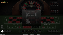 European Roulette - Screenshot 4
