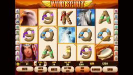 Wild Spirit - Screenshot 4