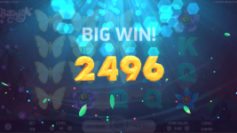 Butterfly Staxx - Screenshot 8