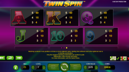 Twin Spin - Screenshot 1