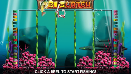 Big Catch - Screenshot 8