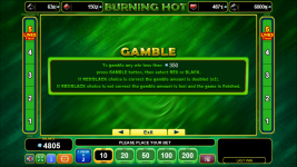 Burning Hot - Screenshot 4