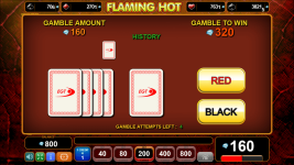 Flaming Hot - Screenshot 6