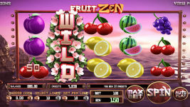 Fruit Zen - Screenshot 5