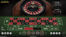 European Roulette - Screenshot 8